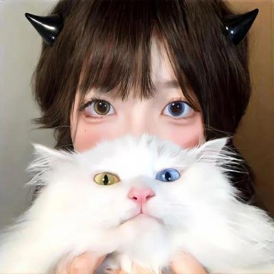 飞行艳使