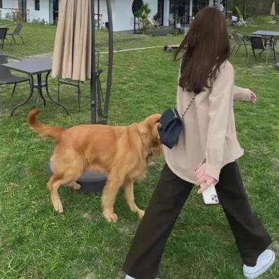 绿色房间